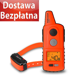 Dog Trace D- control  professional 2000 ONE-obroża elektryczna- Pomarańczowy